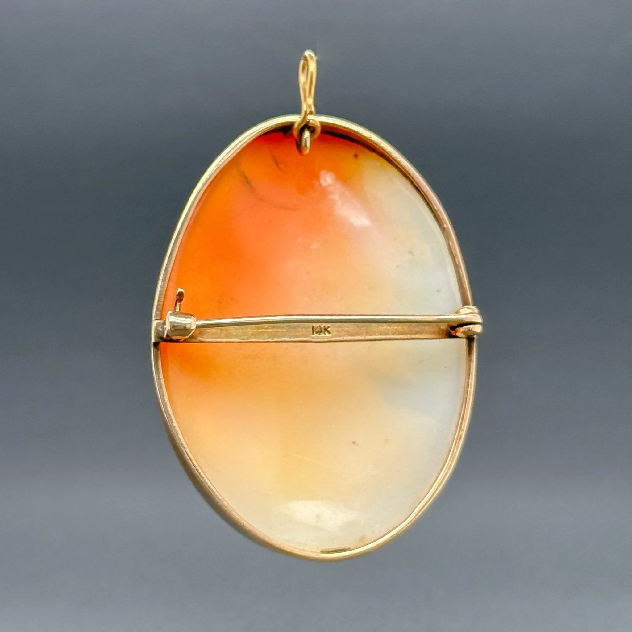 Estate 14K Y Gold Cameo Pin/Pendant