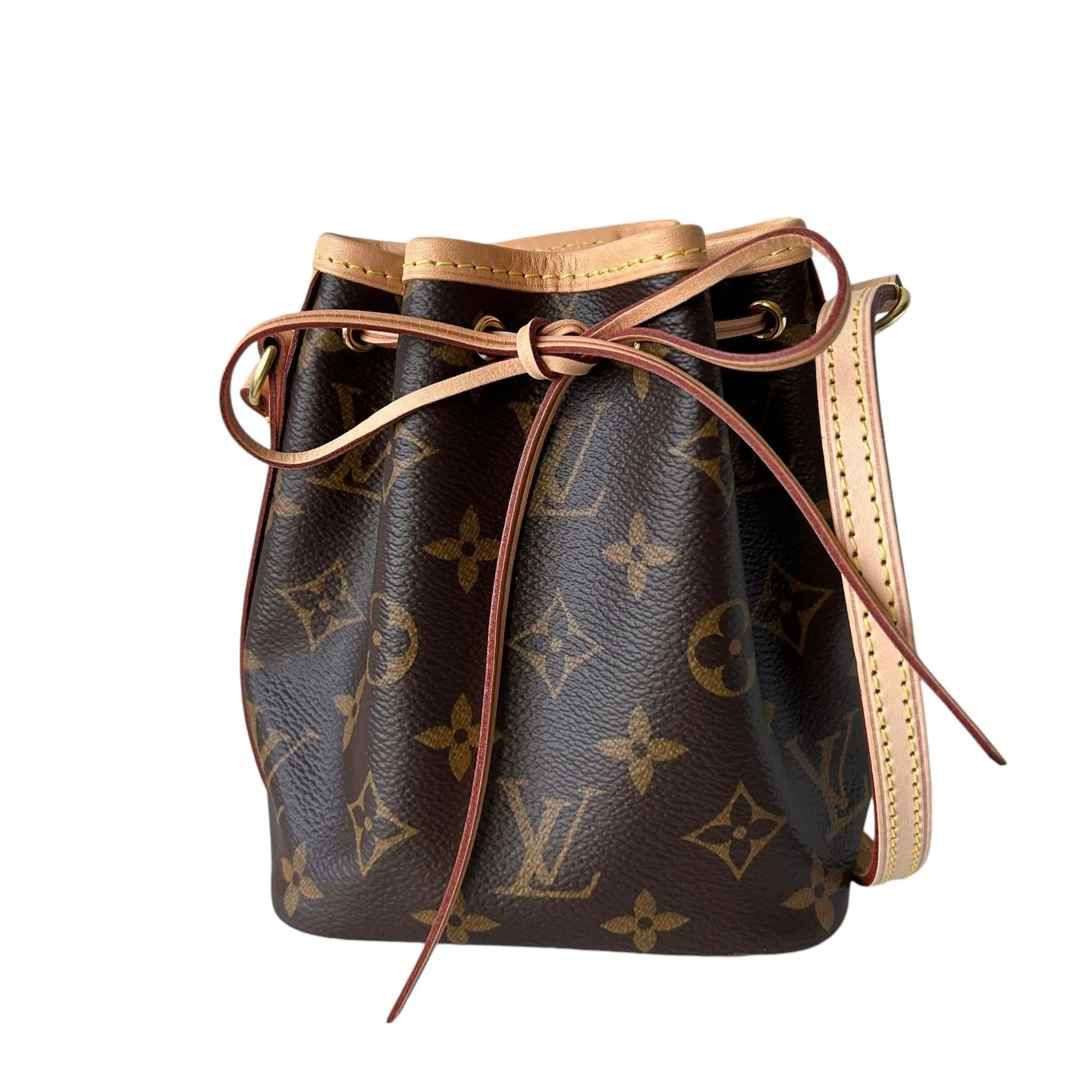 Louis Vuitton LV Nano No Monogram