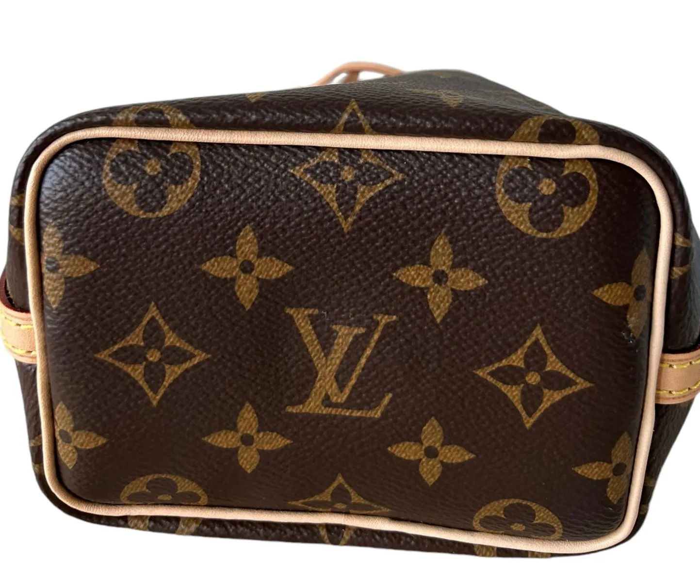 Louis Vuitton LV Nano No Monogram