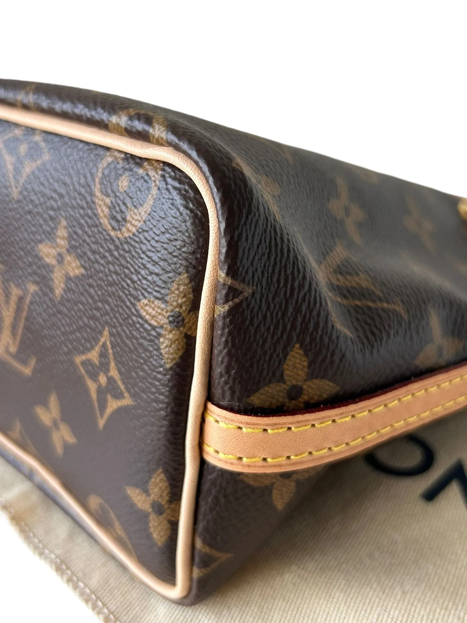 Louis Vuitton LV Nano No Monogram