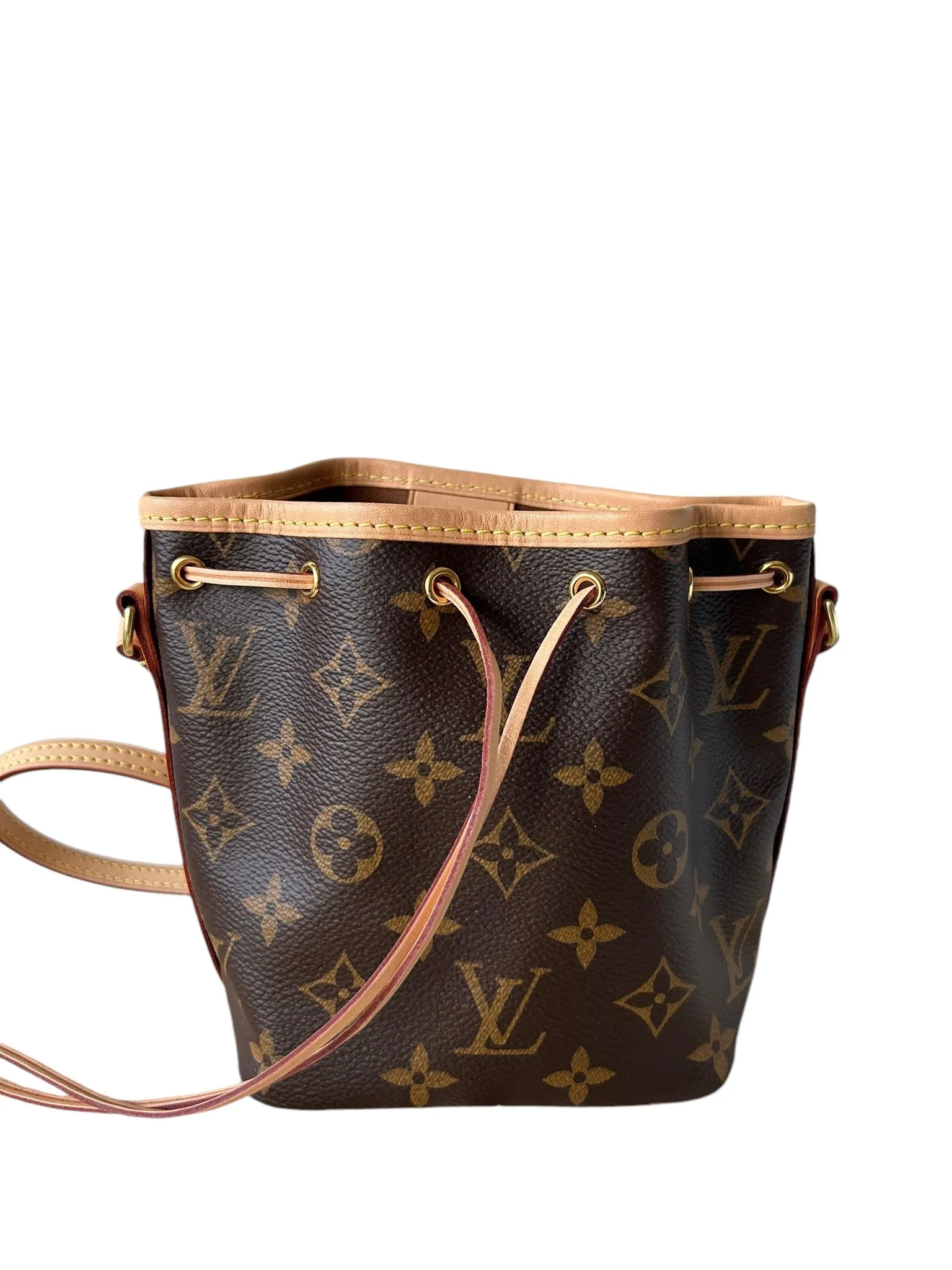 Louis Vuitton LV Nano No Monogram