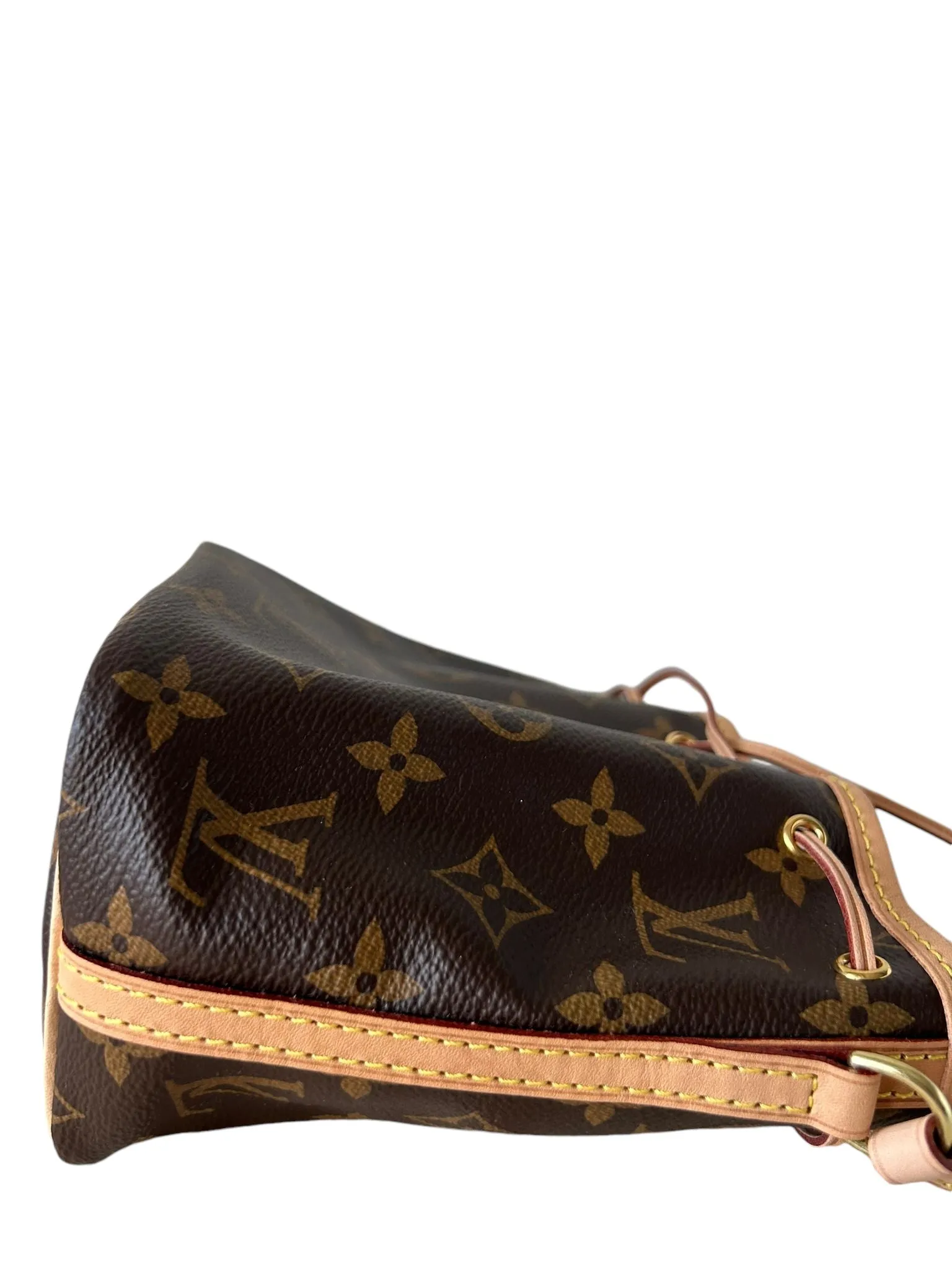 Louis Vuitton LV Nano No Monogram