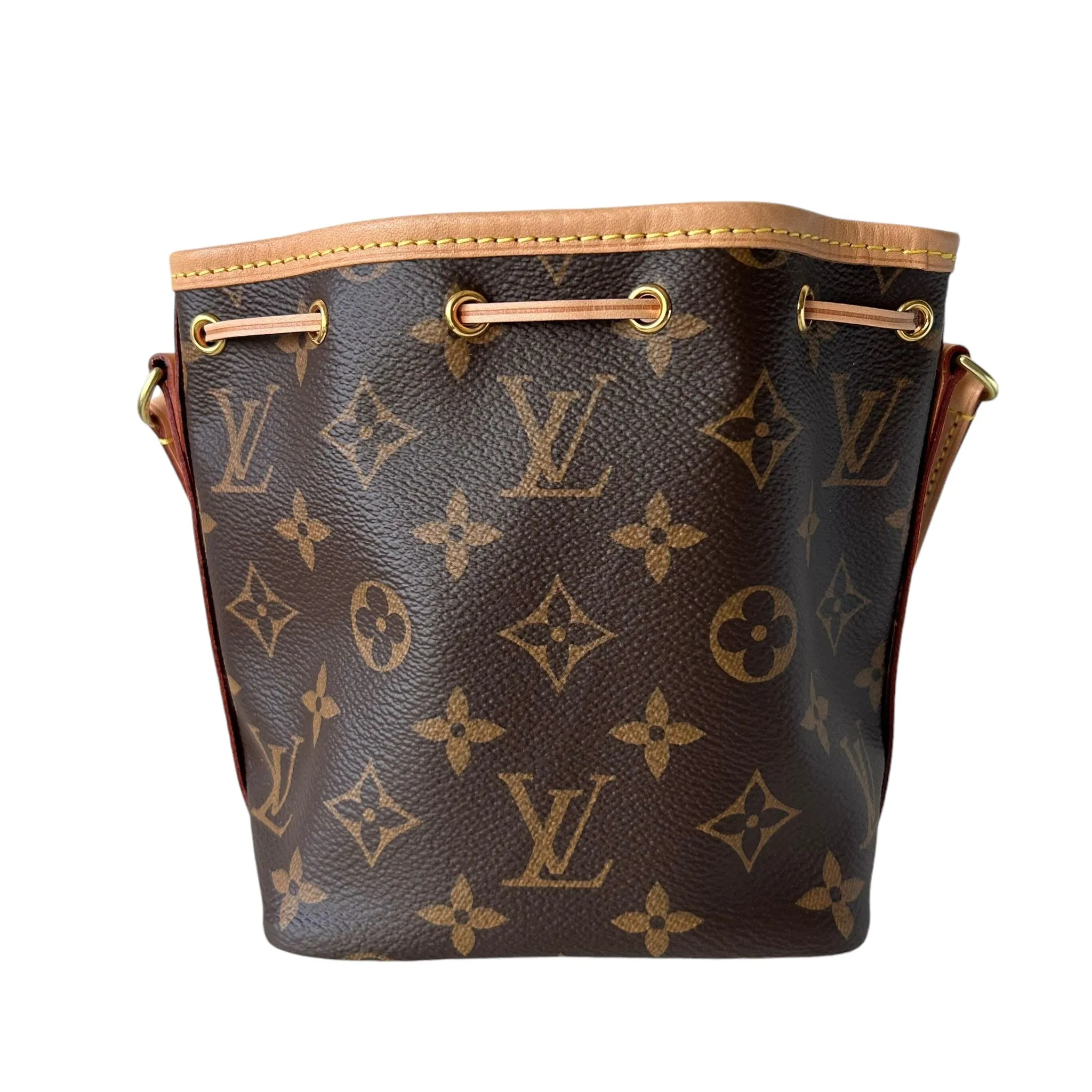Louis Vuitton LV Nano No Monogram
