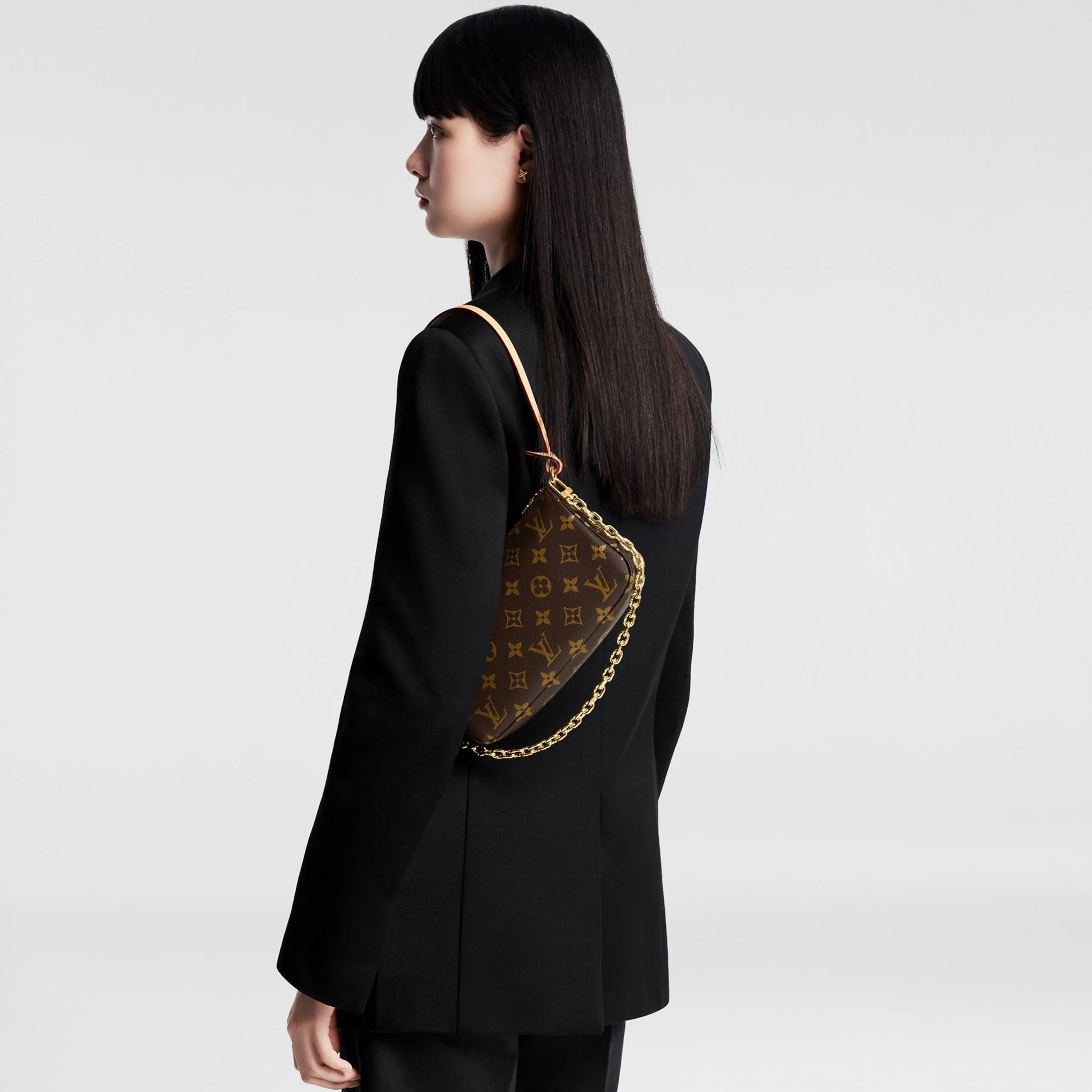 Louis Vuitton Pochette Accessoires Monogram