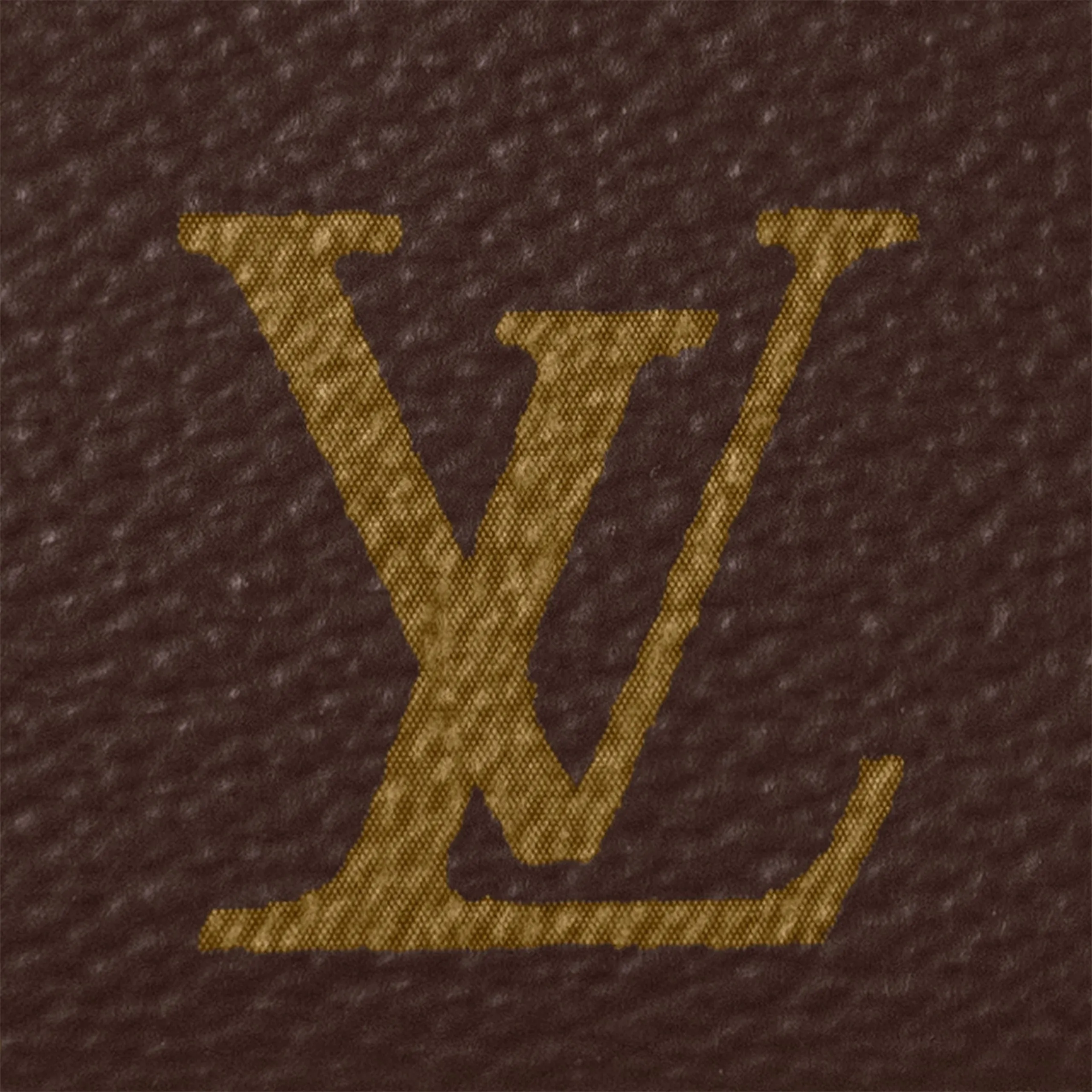 Louis Vuitton Pochette Accessoires Monogram